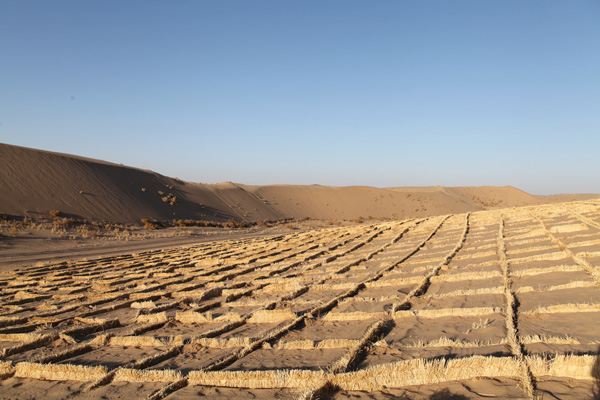 他們，從沙漠中走來……
