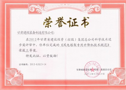 風(fēng)電塔架專用升降機技術(shù)規(guī)范科技進步獎